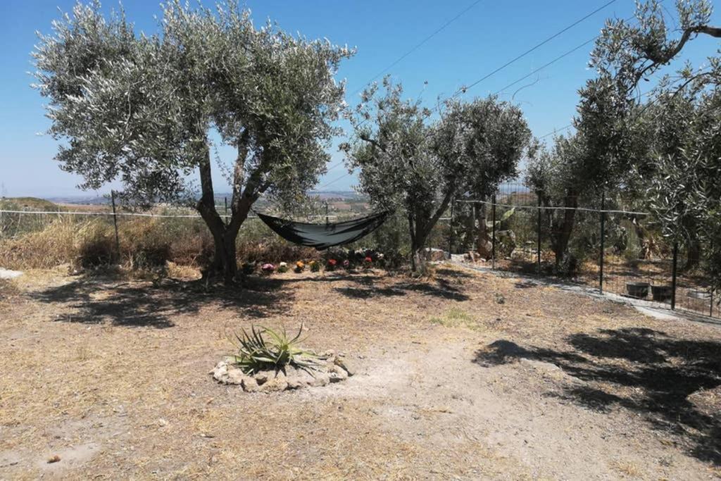 Villa Emma Con Panorama Etna A 10 Minuti Dal Mare Lentini Eksteriør bilde