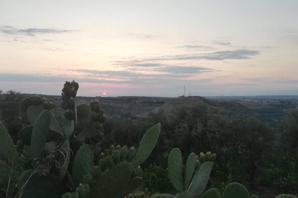 Villa Emma Con Panorama Etna A 10 Minuti Dal Mare Lentini Eksteriør bilde